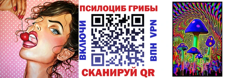 Псилоцибиновые грибы мицелий  Миллерово 