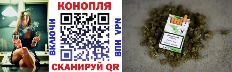 Шишки марихуана план что такое наркотик Миллерово